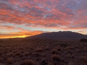 Sandia sunrise todayâ€¦
