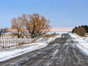 Winter colours