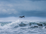 West Coast Adventures