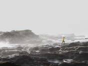 West Coast Adventures