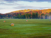 Autumn field 