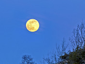 Full Moon