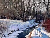 Snowy Spring Day 