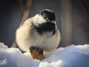 Mine!