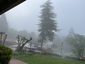 Still have thick fog in North Auburn. Update your reporting. Thanks, Shelly 