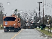 Large tree down on Turner Street blocking the road from Tornado ðŸŒª damage.