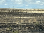 Grass fire pictures from Lea County fire near Tatum and HWY e 380
