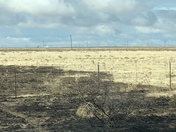Grass fire pictures from Lea County fire near Tatum and HWY e 380