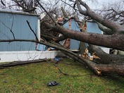 This is my mobile home whisler trailer park In Springdale. 