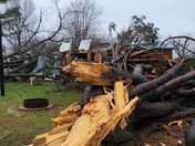 This is my mobile home whisler trailer park In Springdale. 