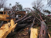 This is my mobile home whisler trailer park In Springdale. 