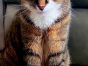 Alice Didn't get too much..but she did lt