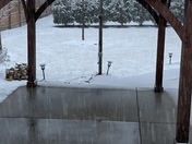 Snowing in Oconomowoc March 31st ! 2022 