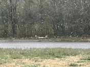 Itâ€™s snowing in gravette!!