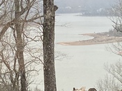 Itâ€™s snowing in Rogers on the East side of the lake. 