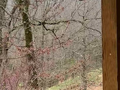 Snowing here in Hindsville