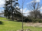 This afternoons storms pictures taken in ford city and kittanning