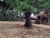This afternoons storms pictures taken in ford city and kittanning