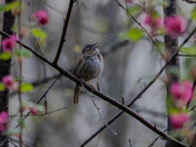 Spring is here on the West Coast.
