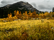 Dark Mountain 