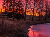 Pink Sunrise Over A Spring Park