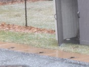 Hail covering the ground in Salisbury Ma. earlier today