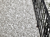 From sunshine to dark clouds, thunder, and pelting hail. 