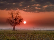 Low cloud 