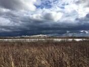 Dramatic Spring Skies