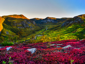 Autumn from the top