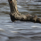 Next upload