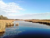 Serene and peaceful nature