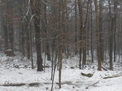 Washington NH -2 hr delay The Goodwin Family