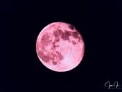 Pink Full Moon April 16 2022