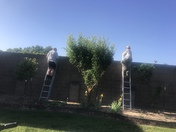 Accident on 120 in Manteca today directly behind my house