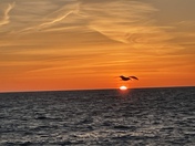 Sunrise in Brant Rock Marshfield