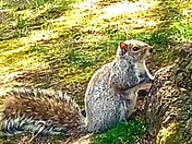 Spring Creatures . I thought this was a cool shot !