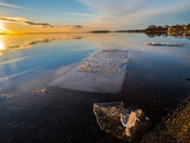 First Ice 
