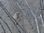 In amongst the pricklies