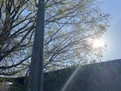 I've made calls to our community city council office Zeke Cohen and 311 for the 1100 block of Angelsea St 21224 in Baltimore .