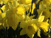 Spring is here