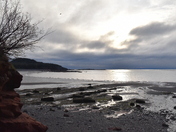 Mood morning on the Bay of Fundy