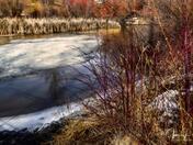 Autumn-Winter Vibes With Mother Nature 