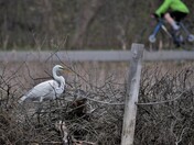 Active life interwoven with nature.