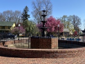 Pella tulip time festival 2022