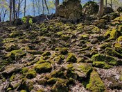 Niagara Glen mossy geology 