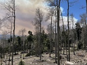 View of Hermits Peak, Calf Canyon fire from Via de Maria road in Angel Fire NM today at 1:30 pm