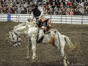 Spring Rodeo