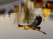 Glide 