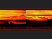 Eruption, 2022